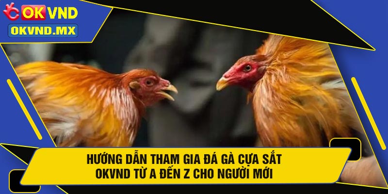 Hướng Dẫn Tham Gia Đá Gà Cựa Sắt OKVND Từ A Đến Z Cho Người Mới