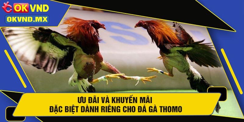 Ưu Đãi Và Khuyến Mãi Đặc Biệt Dành Riêng Cho Đá Gà Thomo